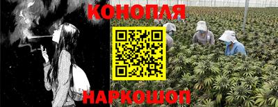PSILOCYBIN Ангарск