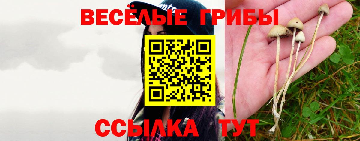 Псилоцибиновые грибы прущие грибы  Вход с VPN  Бийск 